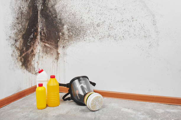 Best Mold Remediation Services  in Golden Hills, CA