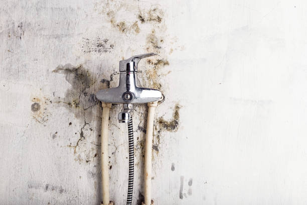 Office Mold Removal Services in Golden Hills, CA