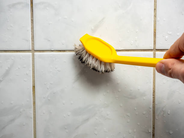 Best Black Mold Removal  in Golden Hills, CA