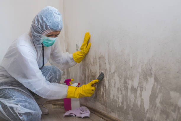 Best Mold Testing  in Golden Hills, CA