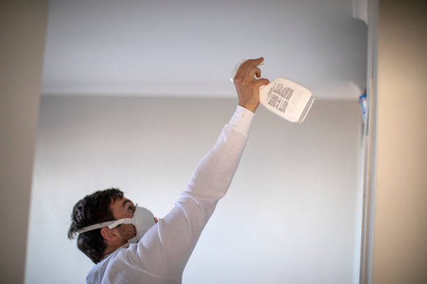 Best Mold Cleaning Services  in Golden Hills, CA