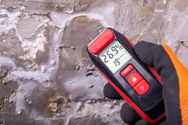 Best Emergency Mold Removal  in Golden Hills, CA