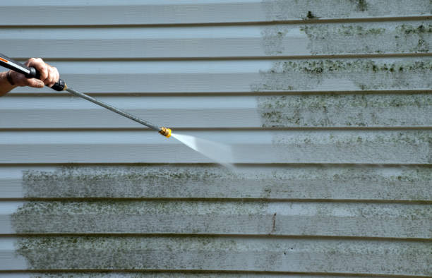 Best Fast Mold Removal  in Golden Hills, CA