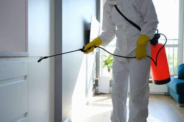 Best Mold Removal Near Me  in Golden Hills, CA