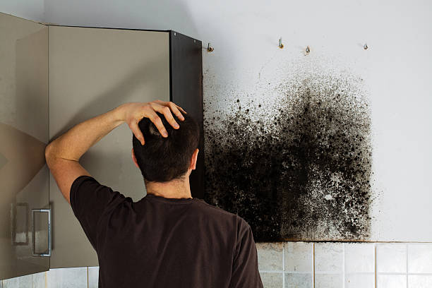 Best Attic Mold Removal  in Golden Hills, CA