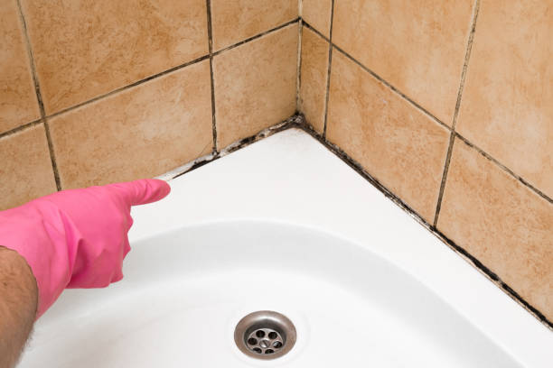 Best Professional Mold Removal  in Golden Hills, CA